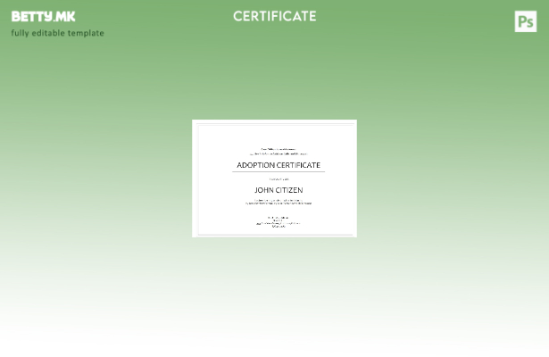 Модерен стил шаблон за сертификат за посвојување во САД